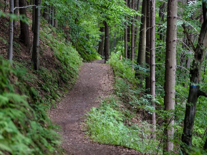 Three local hikes worth checking out